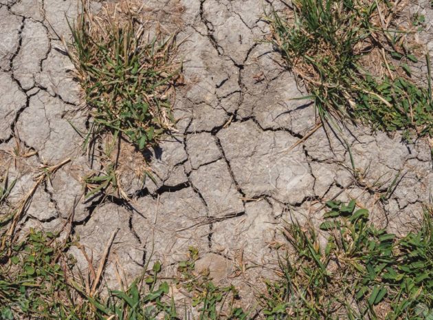 Makšties sausumas: kaip jo išvengti ir gydyti, kalbamės su gydytoja akušere-ginekologe Rasa Mackevičiene