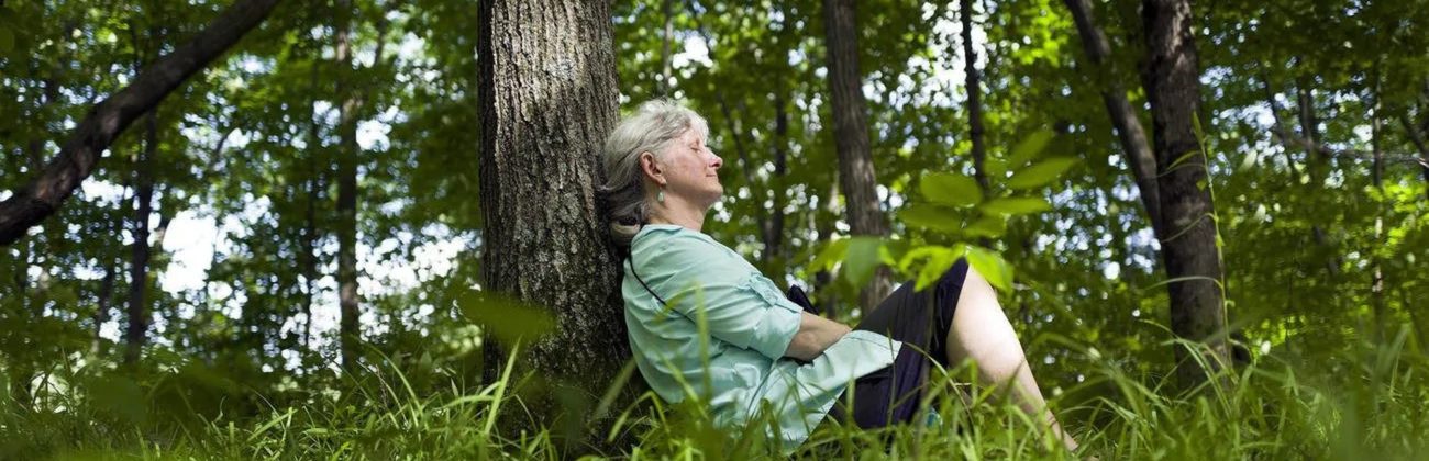 Bijai vilko – neik į mišką, o kaip su erkėmis? Vaistininkės komentarai