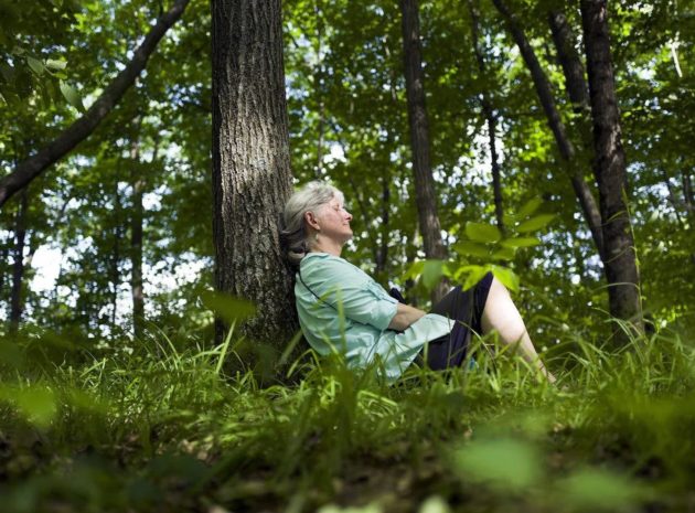 Bijai vilko – neik į mišką, o kaip su erkėmis? Vaistininkės komentarai