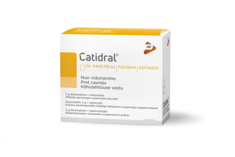 Užklupo viduriavimas. Ką rekomenduojama valgyti?