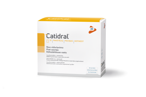 Užklupo viduriavimas. Ką rekomenduojama valgyti?