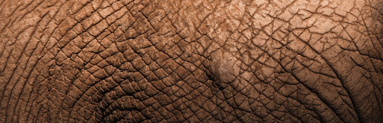 <strong>Sausra odoje. Ką daryti?</strong>