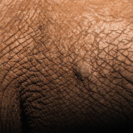 <strong>Sausra odoje. Ką daryti?</strong>