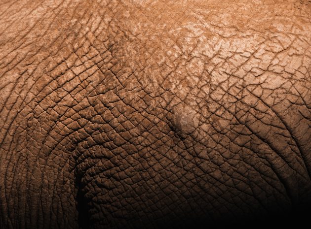 <strong>Sausra odoje. Ką daryti?</strong>